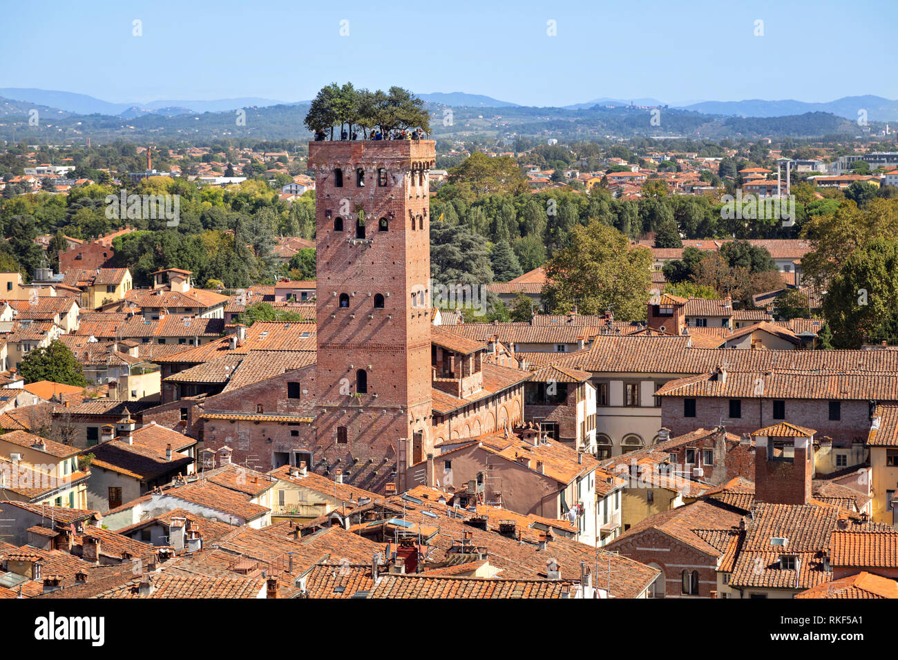 Lucca, Italien. Torre Guinigi - Backstein Turm aus dem 14. Jahrhundert von Holm - Eichen gekrönt Stockfoto