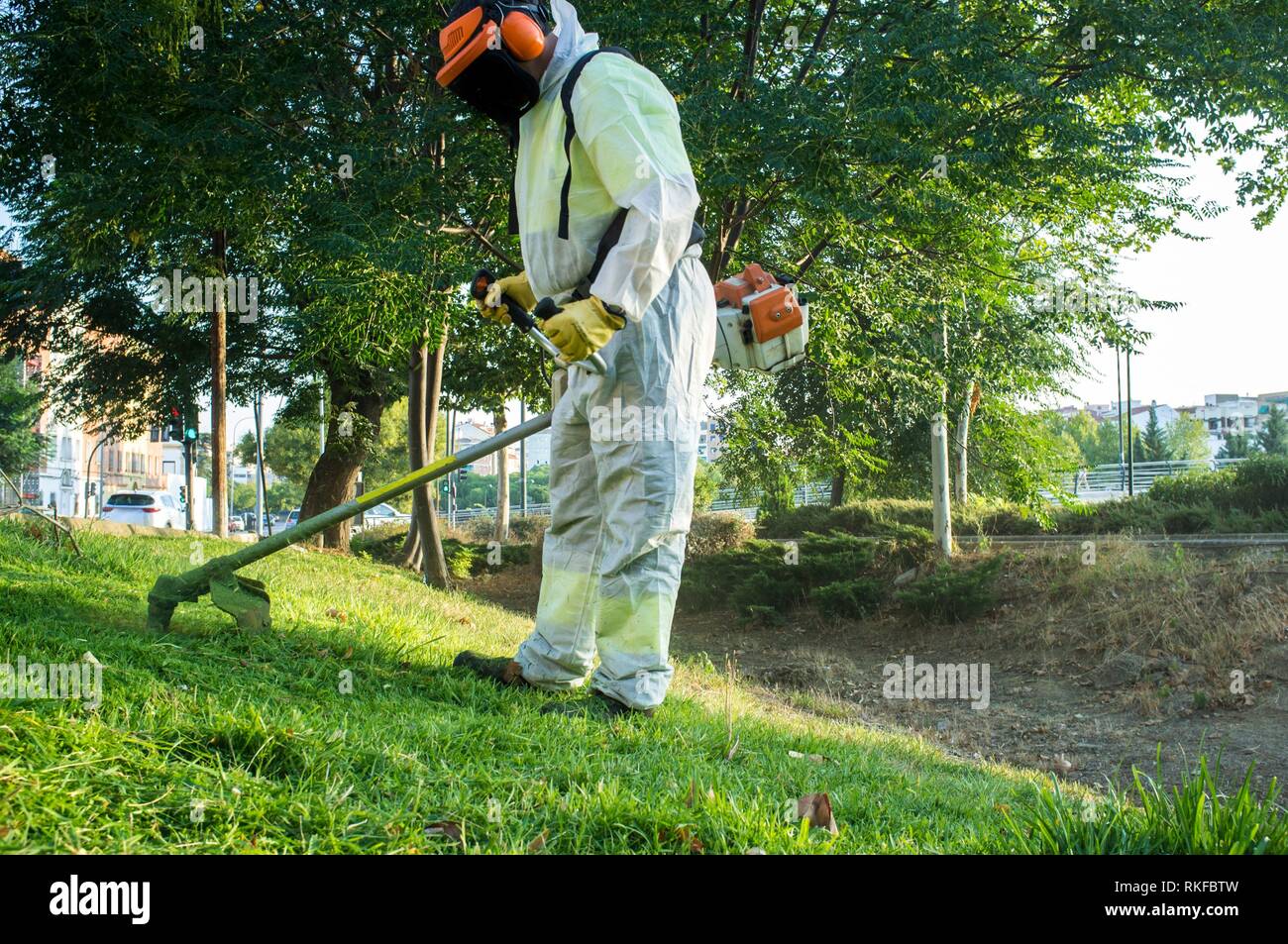 Gärtner mähen den Rasen mit dem Rasenmäher im Park. Er trägt die persönliche Schutzausrüstung (PSA). Stockfoto