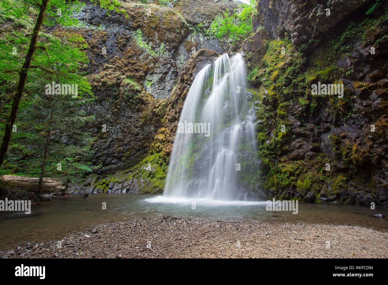 Fall Creek Falls in der Umpqua National Forest von Oregon. Stockfoto