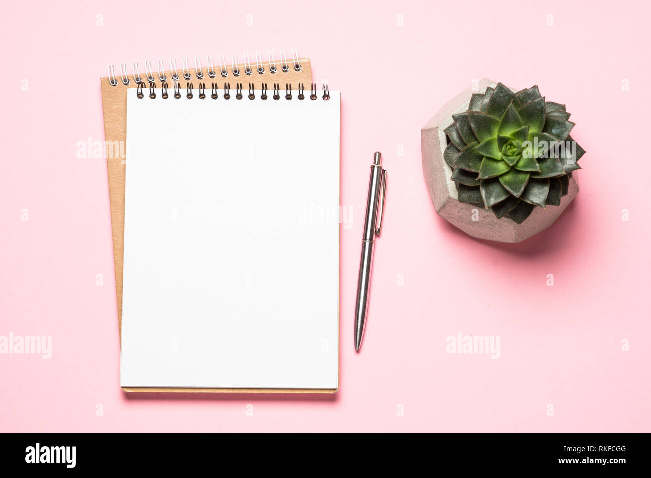 Büro Arbeitsplatz mit Notepad, Pan und auf rosa Schreibtisch saftig. Stockfoto