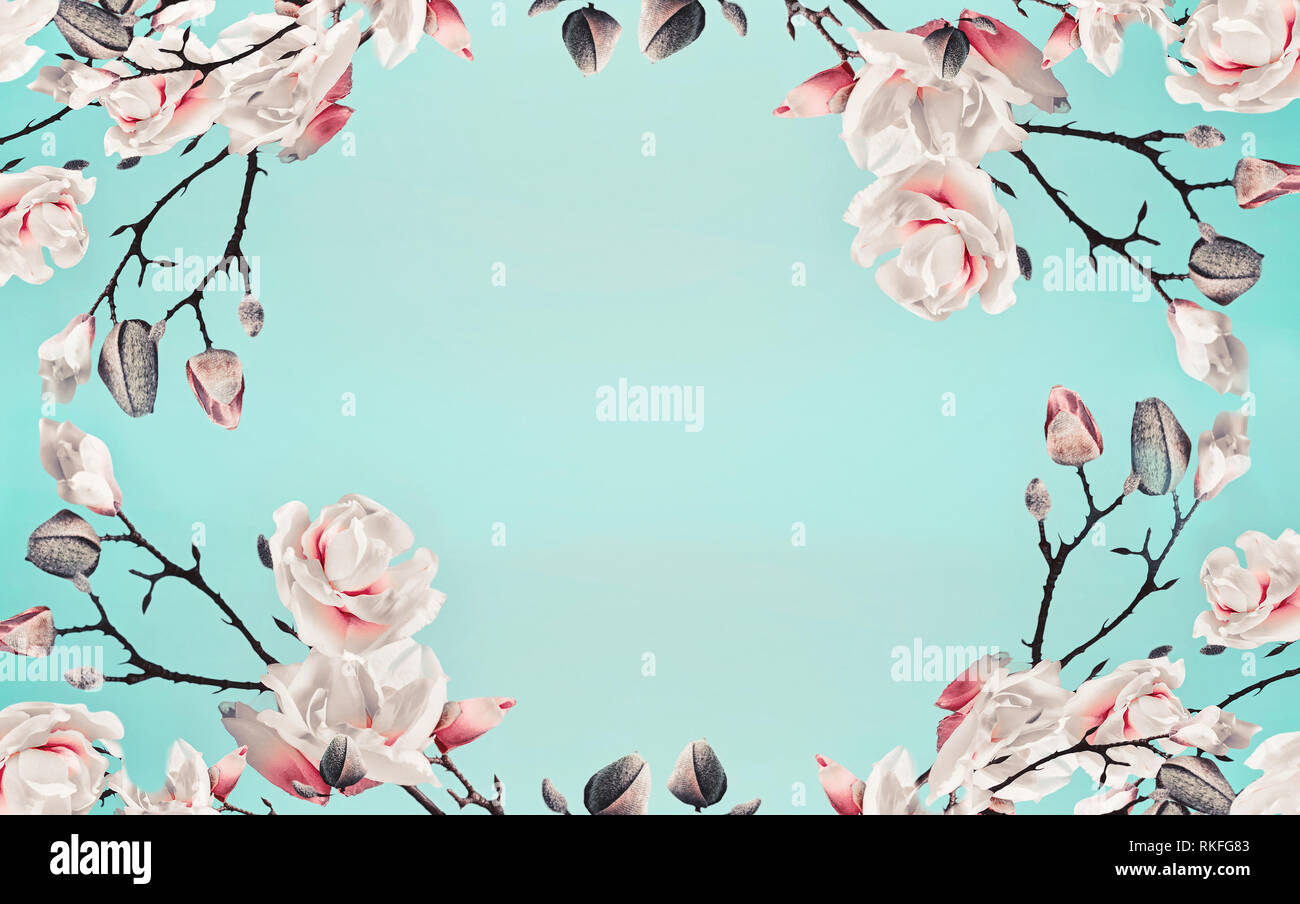 Magnolia Rosa Blume Blumen Auf Hellblau Turkis Hintergrund Florale Muster Der Zweig Mit Bluten Fruhjahr Vorlage Oder Layout Pas Stockfotografie Alamy