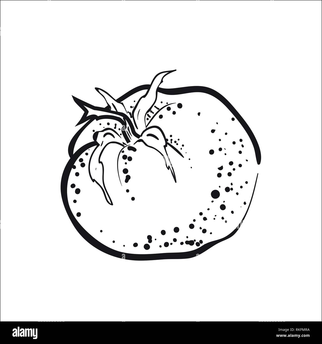 Hand gezeichnete Skizze Stil ganze Tomate. Eco essen Vector Illustration Poster. Bauernhof frische Lebensmittel. Stock Vektor