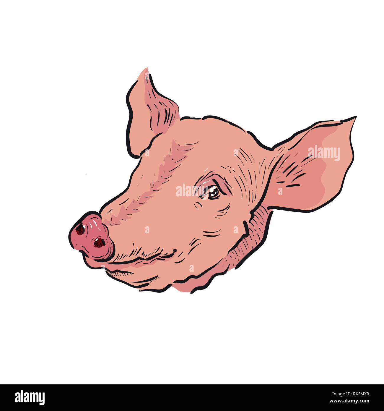 Farbe Skizze Schwein. Farm theme. Vector Illustration EPS 10. Stock Vektor