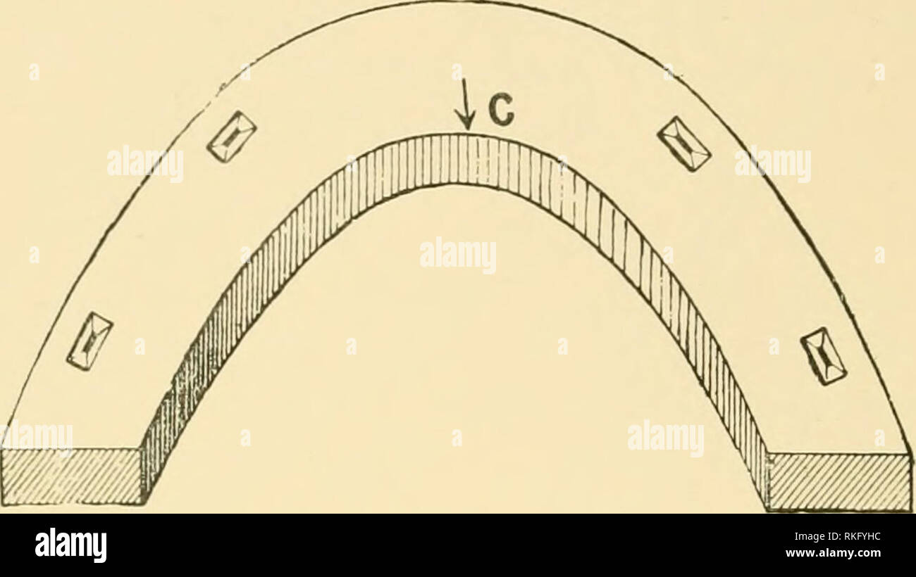 . Die Kunst des Pferd Schneeschuhwandern. Horseshoeing Hufe; CHR 1905; PRO McNeil, John H. (autogramm); PRO McNeil, John H., Frau (Spender). 130 DIE KUNST DER PFERDE - HUFBESCHLAG Fänge der Ferse der Fore-Fuß und schneidet ein shce. Dieser Anteil hängt oft wie eine Klappe, und wenn es, Die. Abb. 100.- Zehe der Hinterbeine Schuh, der die Kante, die die Ferse des fore Schnitte - Fuß. Anlage immer auf der Rückseite, die zeigen, dass die Verletzungen nicht von hinten nach vorne, wie es sein würde, wenn durch einen direkten Schlag verursacht, aber vor Rückwärts; mit anderen Worten, durch eine schleifende Wirkung der Hinterfüße nach Verlassen des vorderen. Ein ove Stockfoto