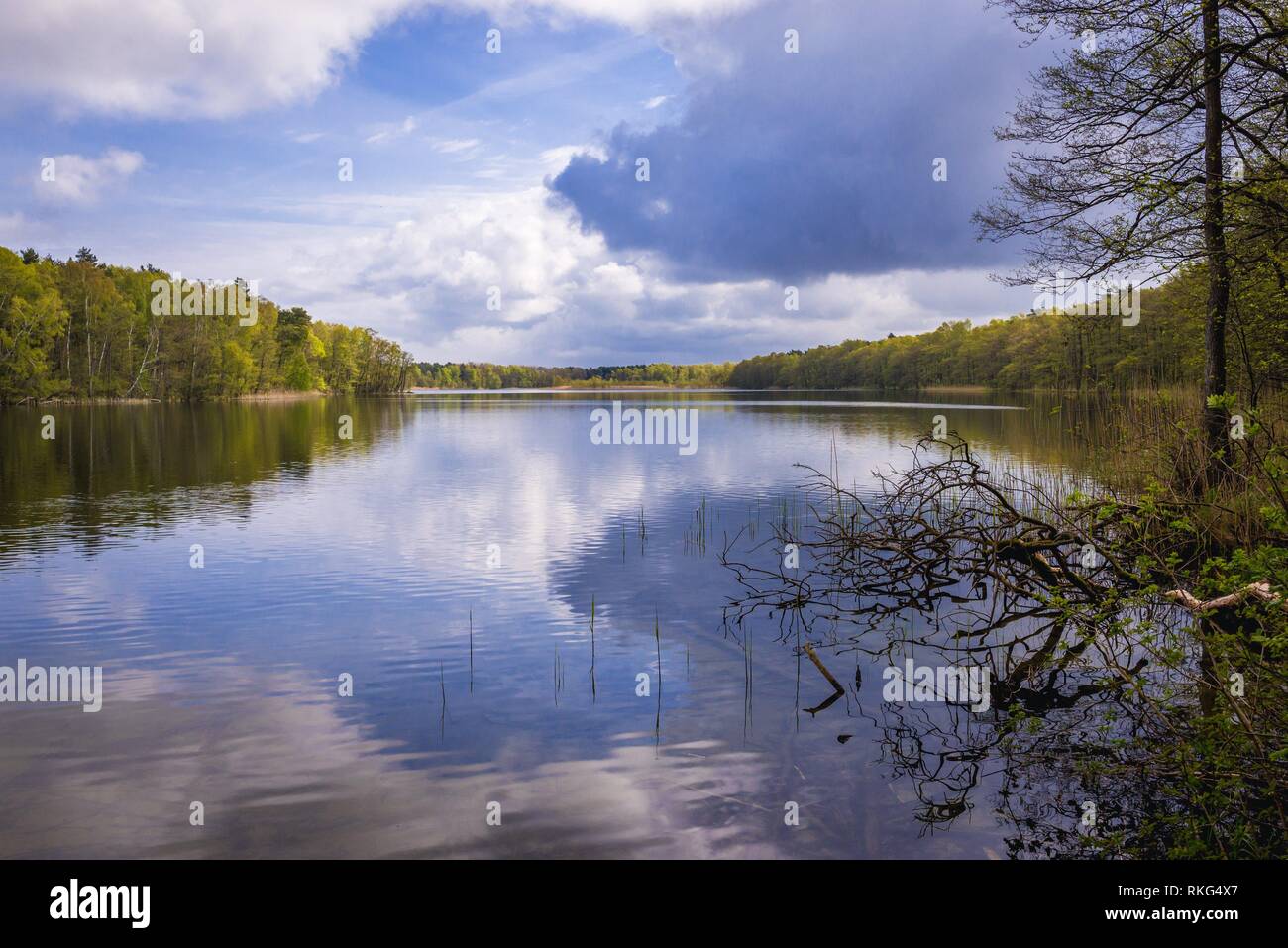 Martwa Fluss Dziwna See in der Nähe von Dziwnow und Miedzywodzie Dörfer  über der Ostsee in der Woiwodschaft Westpommern in Polen Stockfotografie -  Alamy