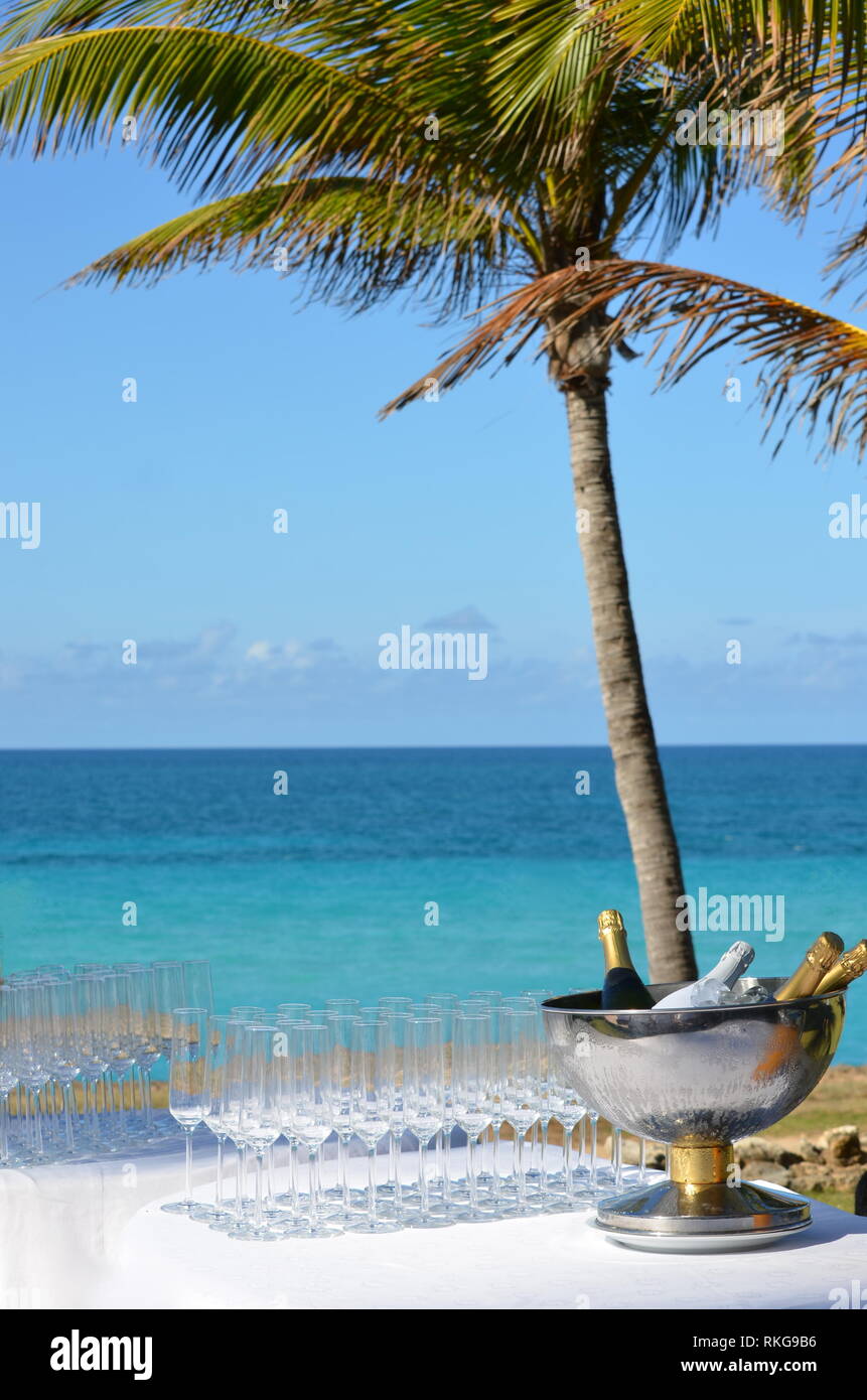 Stammzellen Gläser und Sekt Tabelle im Meer tropische Insel am Bestimmungsort Hochzeit. Partei für zivile Zeremonie. Ocean View Garden Stockfoto