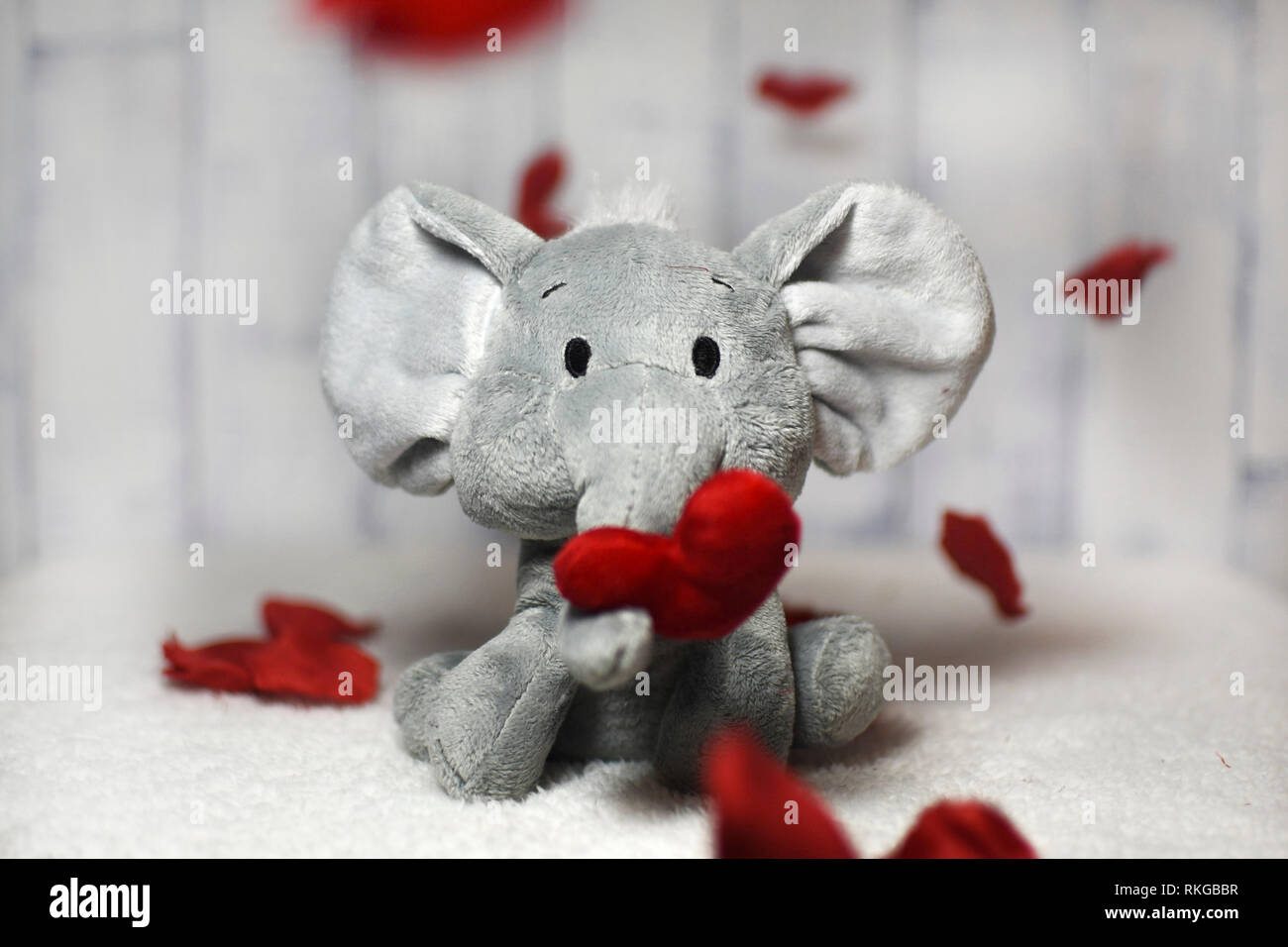 Ein Elefant Plüsch Spielzeug Holding ein Herz auf einer weichen Oberfläche durch fallende Rosenblätter umgeben. Stockfoto