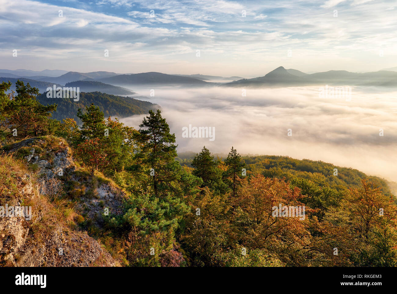 Landschaft schöne Herbst morgen über tiefen Wald Tal. Stockfoto