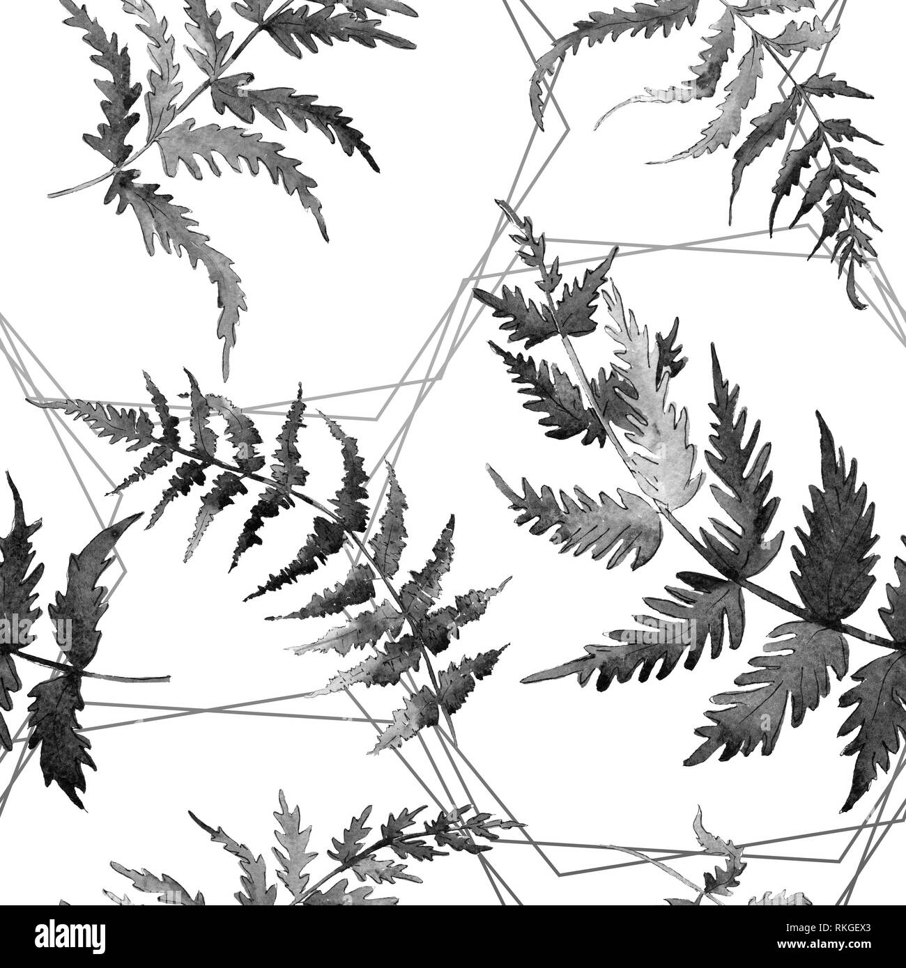 Farn grünes Blatt. Pflanze botanische Garten Blumen Laub. Aquarell Abbildung. Nahtlose Muster. Stockfoto