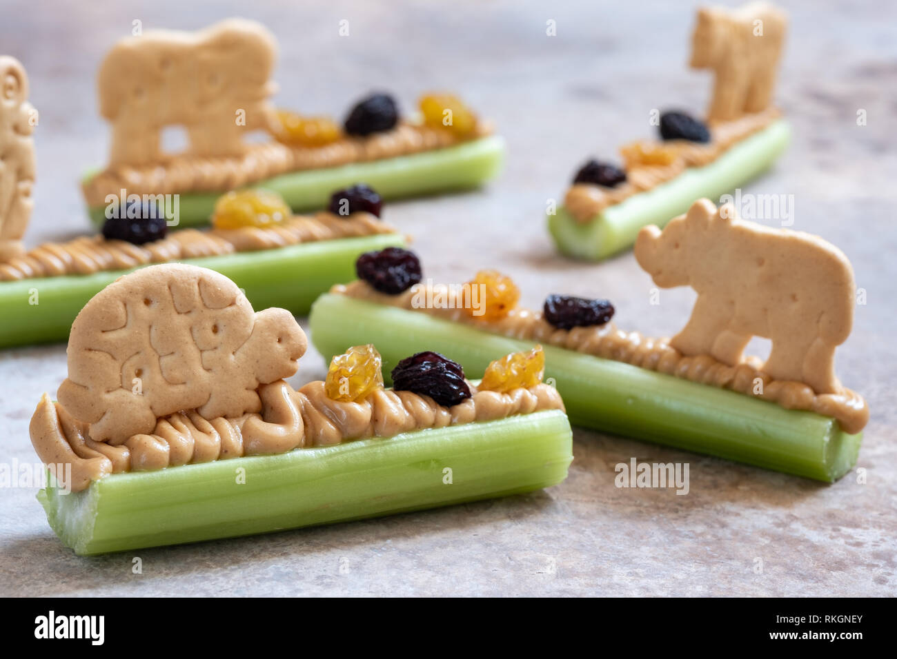 Ameisen auf einem Baumstamm Snack mit Sellerie Erdnussbutter, Rosinen und Cookie Stockfoto