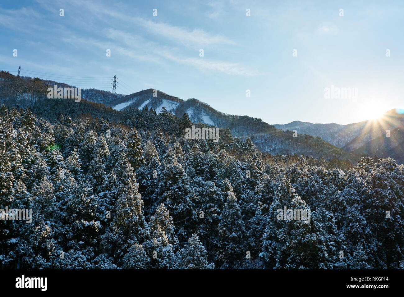 Helle Morgensonne auf frosted Baumkronen in die Berge von Schnee Land Japan (Yuzawa, Niigata) mit Stromleitungen in der Ferne. Stockfoto