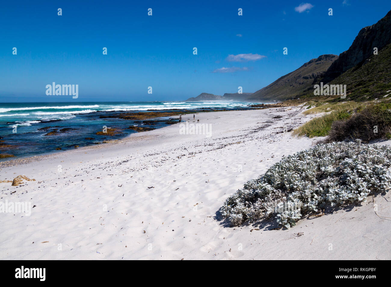 Die weißen Sandstrände entlang der wunderschönen und malerischen Küstenstraße entlang der Garden Route, Kapstadt, Südafrika Stockfoto