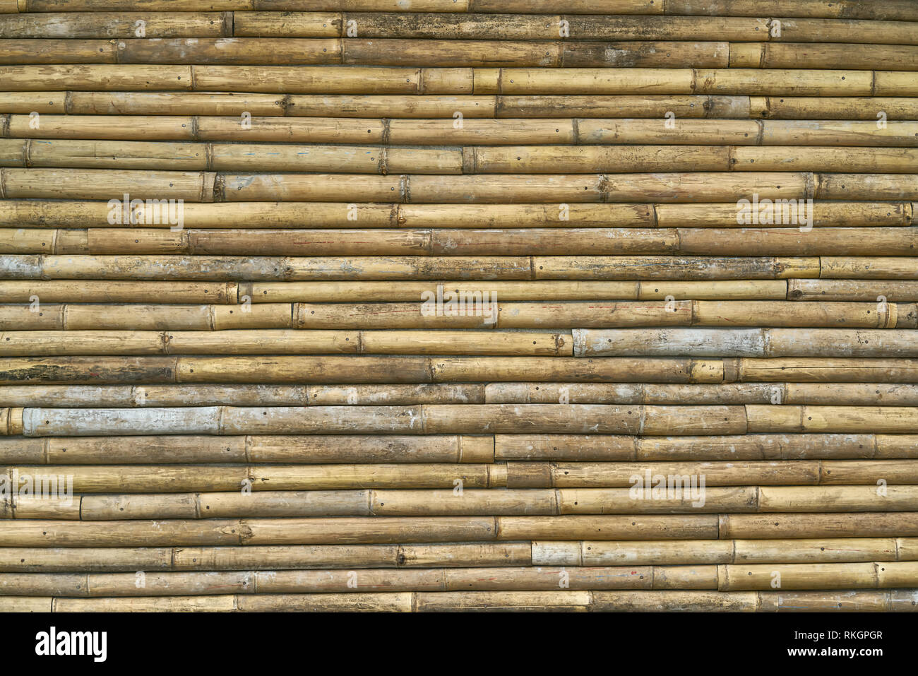 Schön texturierte Holzwand aus Bambus Bäume im Freien gemacht. Closeup horizontale Foto. Stockfoto