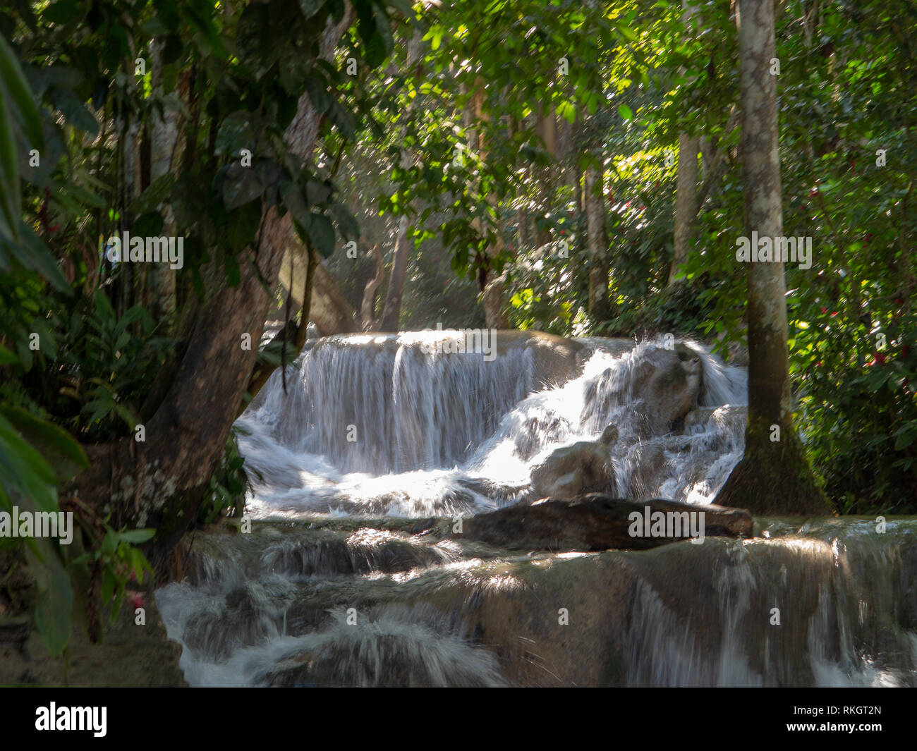 Dunns River Falls im Regenwald in Jamaika Stockfoto