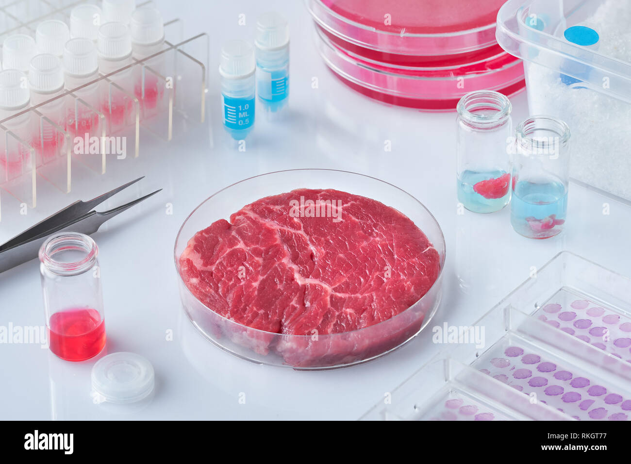 Fleisch Probe in offenen wiederverwendbare Zellkulturschale im modernen Labor oder Produktion. Konzept der sauberen Fleisch in vitro kultiviert aus einem Stockfoto