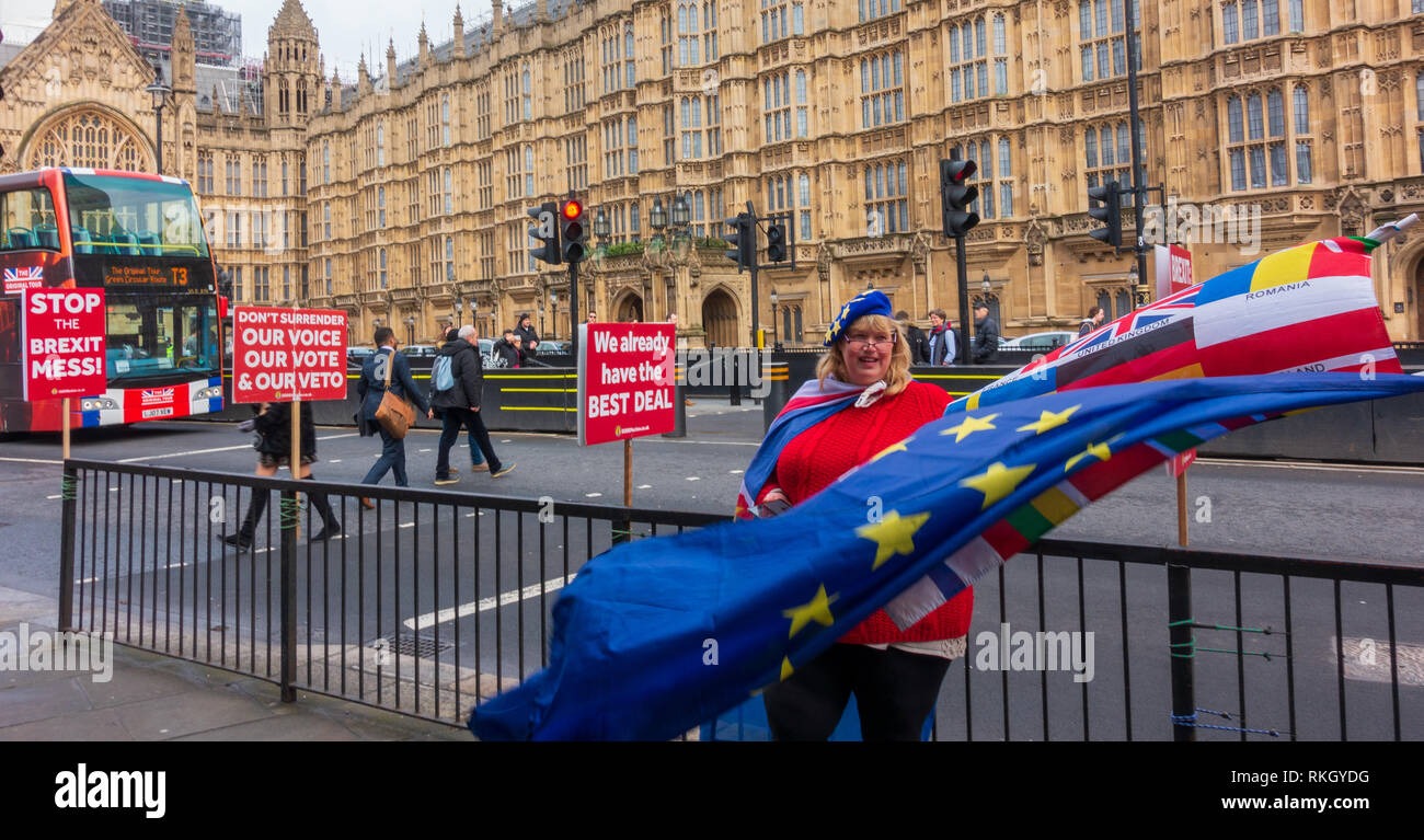Bleiben Mitkämpfer außerhalb des britischen Parlaments in London Stockfoto