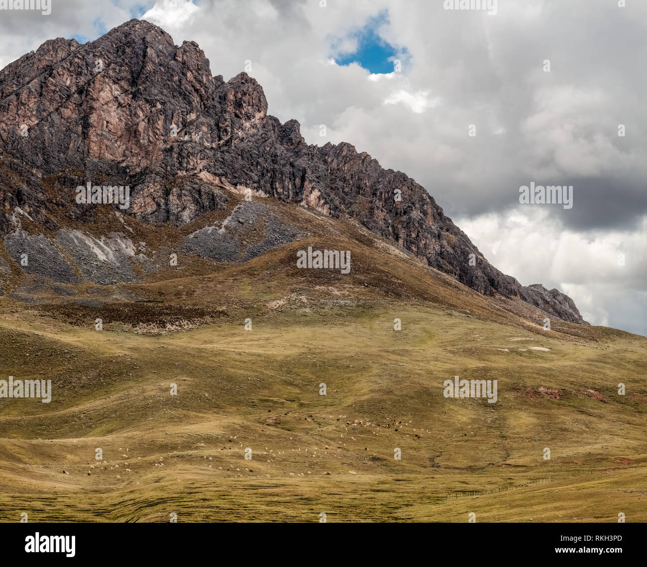 Panorama der peruanischen Anden Pick mit Lamas unter einem bewölkten Himmel Stockfoto