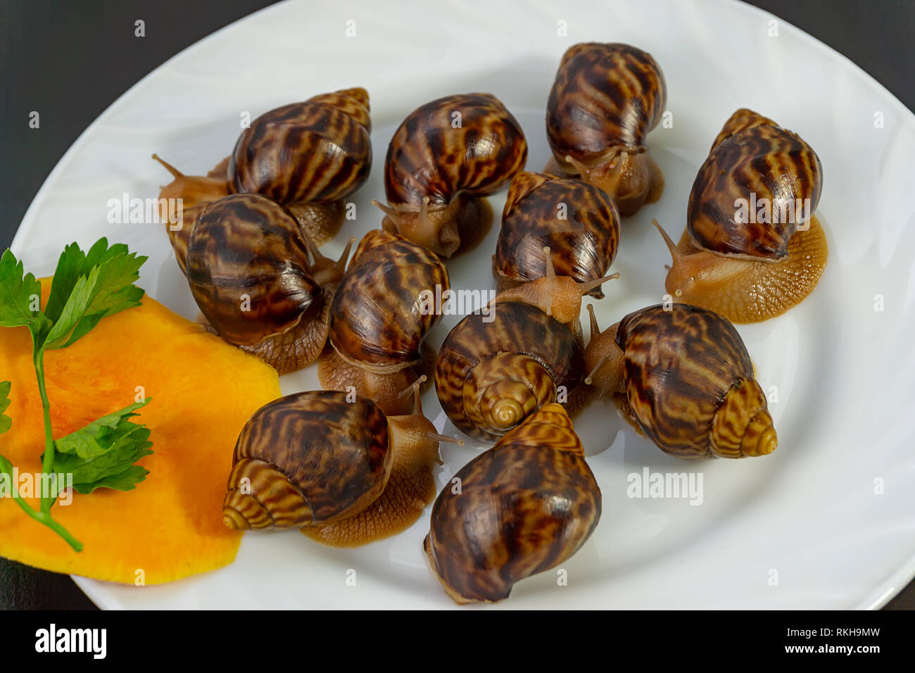 Traube Schnecken, akhatina, auf einer Platte, wie roh essen, eine rawism und als ein köstliches Gericht Stockfoto