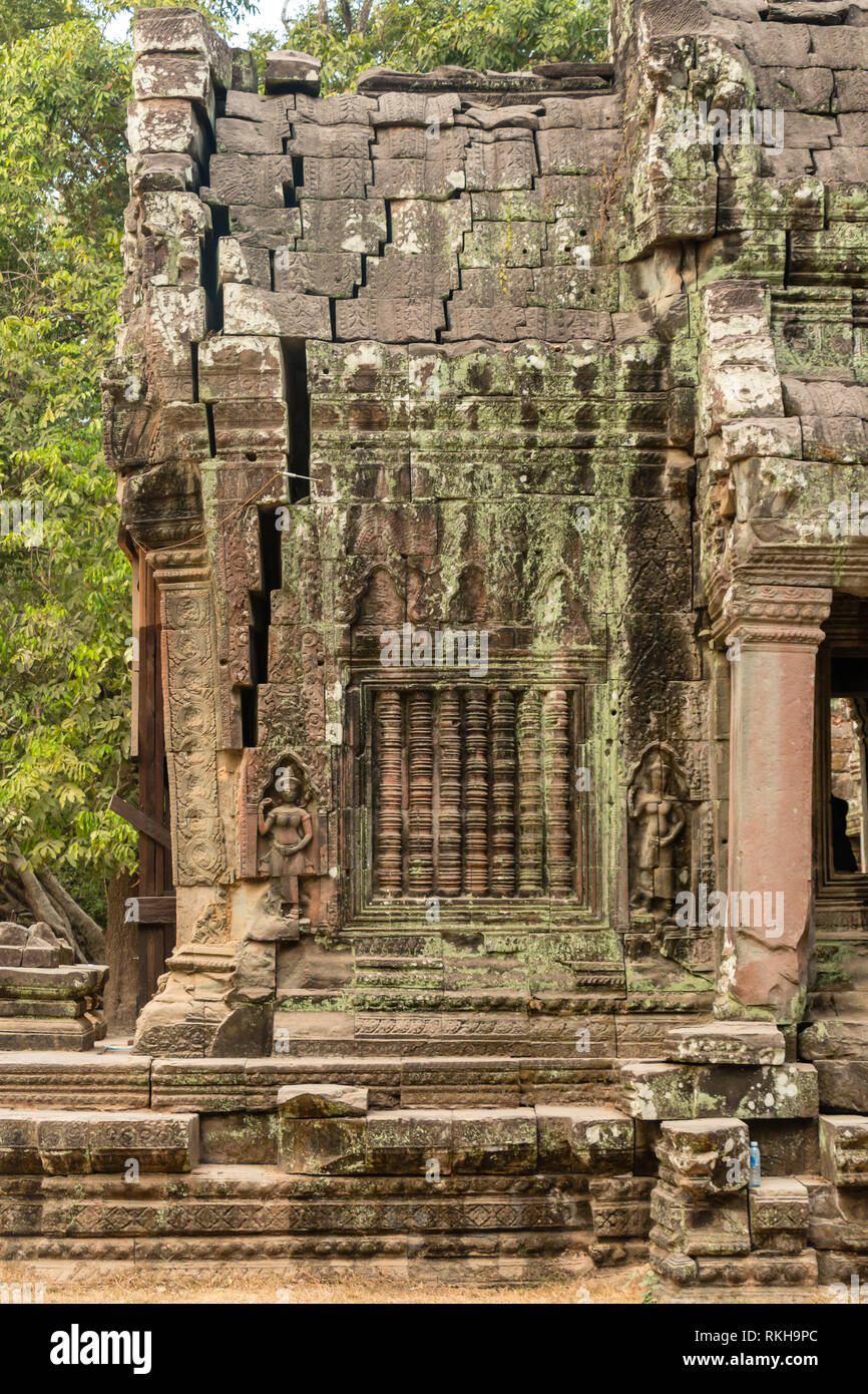 Ruinen, Tempel und Statuen bei Sonnenaufgang zeigen Khmer Kultur bei Ta Prohm, Angkor Wat, UNESCO-Weltkulturerbe, iSiem Reap, Kambodscha, Asien Stockfoto