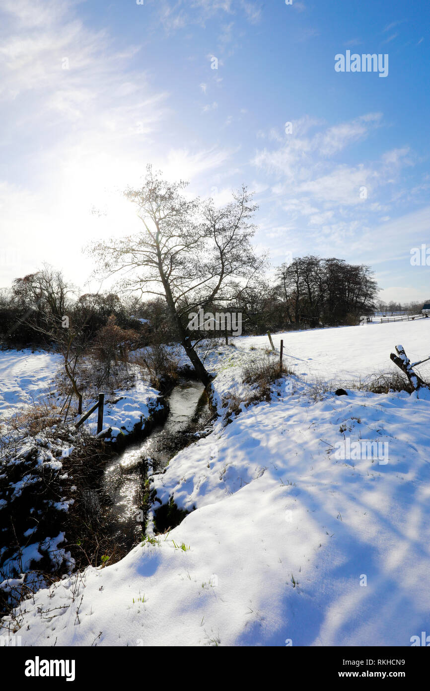 Datteln, Ruhrgebiet, Nordrhein-Westfalen, Deutschland - sonnige Winterlandschaft, Renaturiert Lippe Aue im Winter mit Eis und Schnee, hier ein Cree Stockfoto