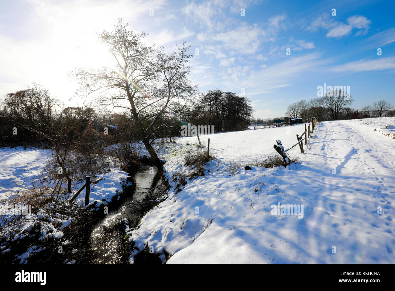 Datteln, Ruhrgebiet, Nordrhein-Westfalen, Deutschland - sonnige Winterlandschaft, Renaturiert Lippe Aue im Winter mit Eis und Schnee, hier ein Cree Stockfoto