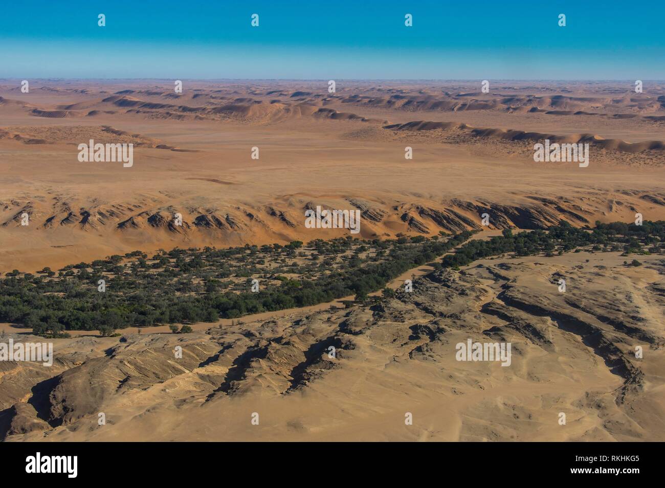 Luftaufnahme von einem grünen Canyon am Rande der Wüste Namib, Namibia Stockfoto