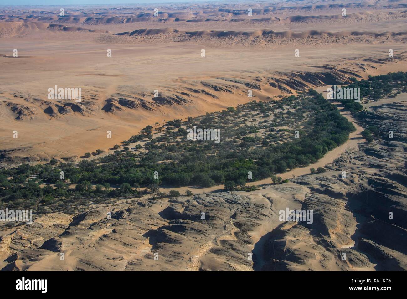Luftaufnahme von einem grünen Canyon am Rande der Wüste Namib, Namibia Stockfoto