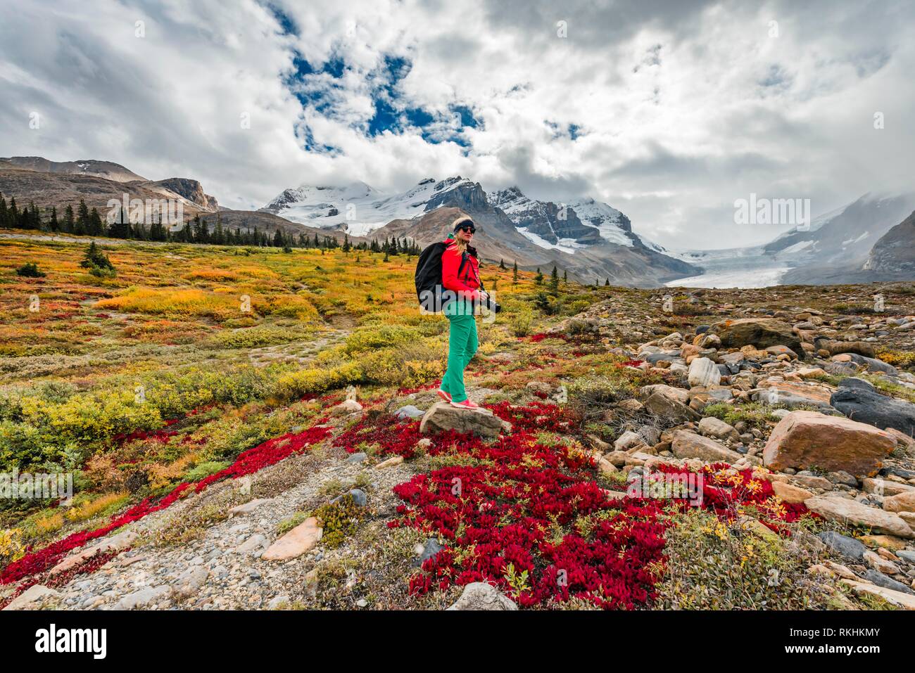 Wanderer, karge Landschaft, Glacier Valley, Mount Athabasca mit Saskatchewan Athabasca Glacier, Icefields Parkway, Jasper National Stockfoto