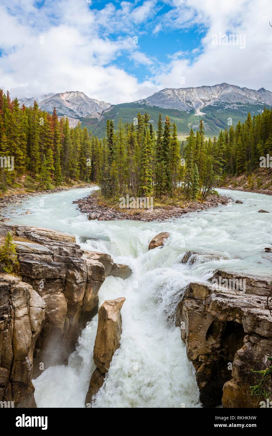 Wasserfall Sunwapta Falls, an der Icefields Parkway, Sunwapta River, Jasper National Park, Rocky Mountains, Alberta, Kanada Stockfoto