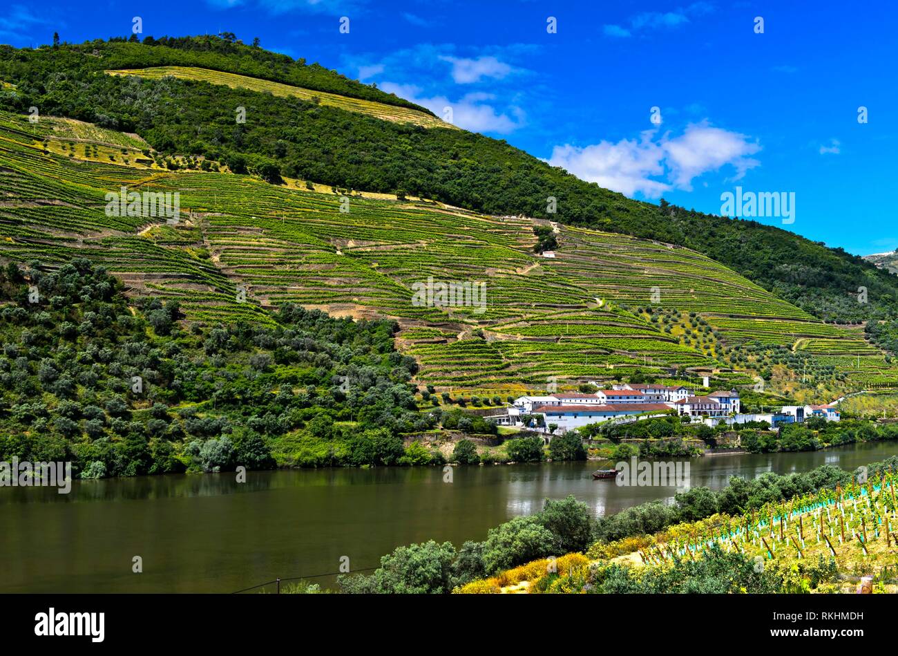 Weingut Quinta das carvalhas auf dem Fluss Douro, Alto Douro Region Pinhao, Douro-tal, Portugal Stockfoto