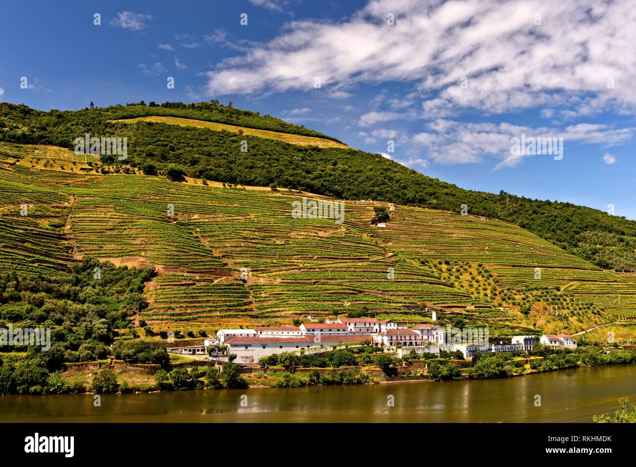 Weingut Quinta das carvalhas auf dem Fluss Douro, Alto Douro Region Pinhao, Douro-tal, Portugal Stockfoto