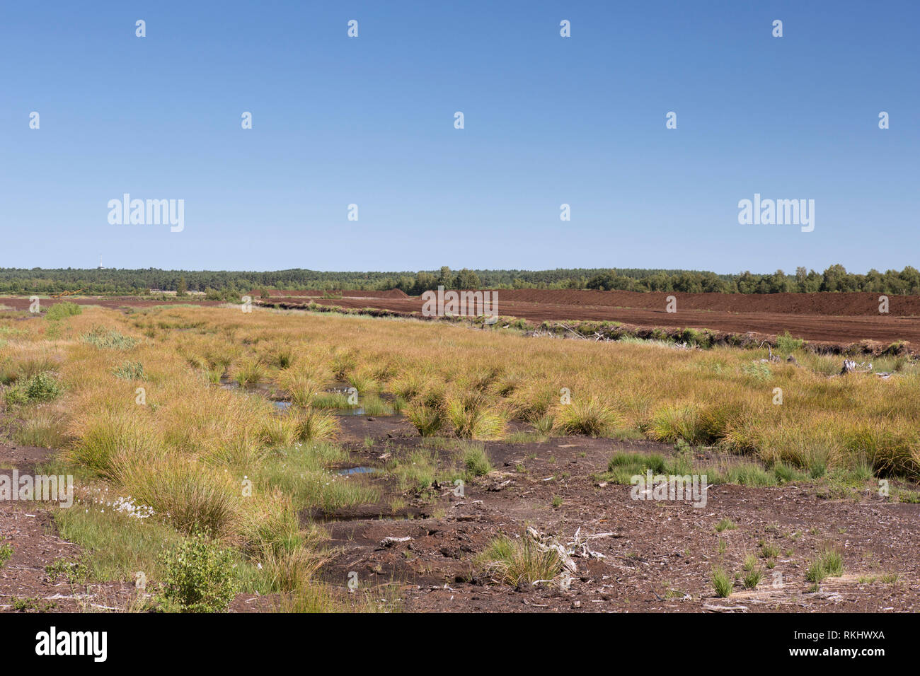 Torfgewinnung auf Totes Moor/Tote Moor, Moor in der Nähe von Neustadt am Rübenberge - Landkreis Hannover, Niedersachsen/Niedersachsen, Deutschland Stockfoto