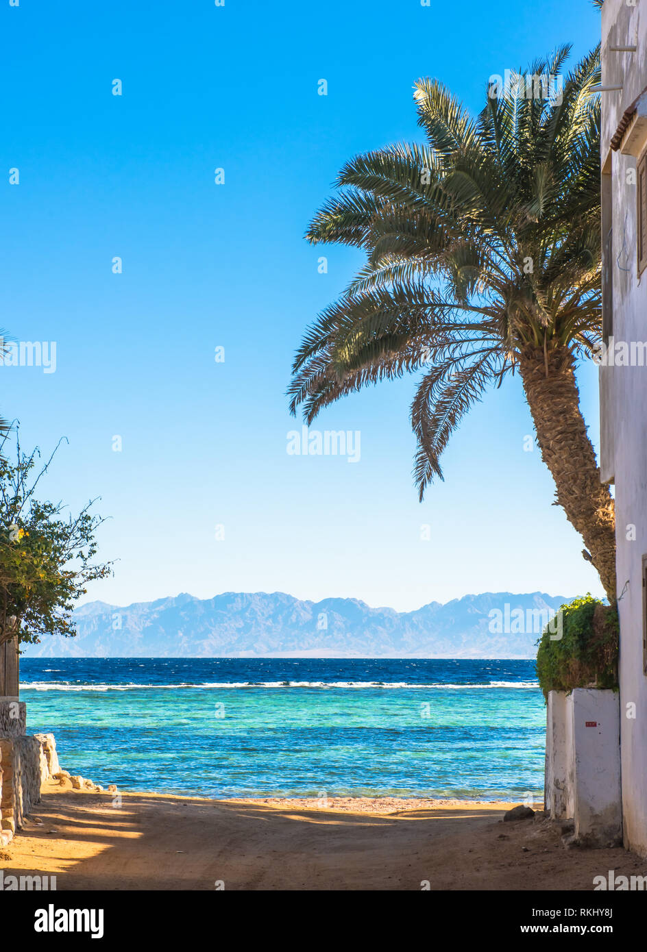 Küste am Roten Meer, im Golf von Aqaba, in der Nähe von Dahab. Ägypten Stockfoto