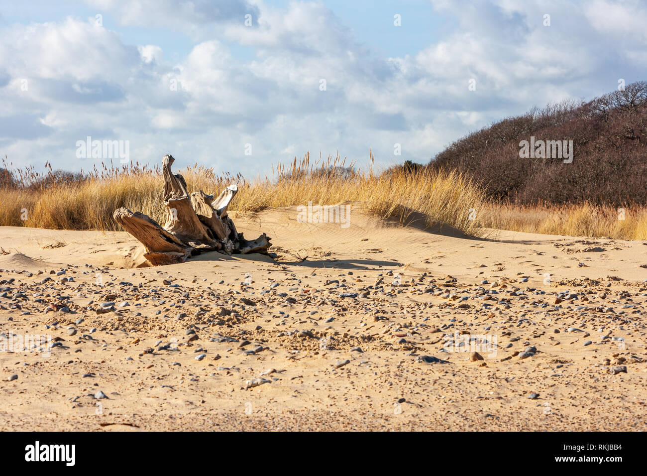 Blick auf covehithe und benacre Breite an der Küste von Suffolk Stockfoto