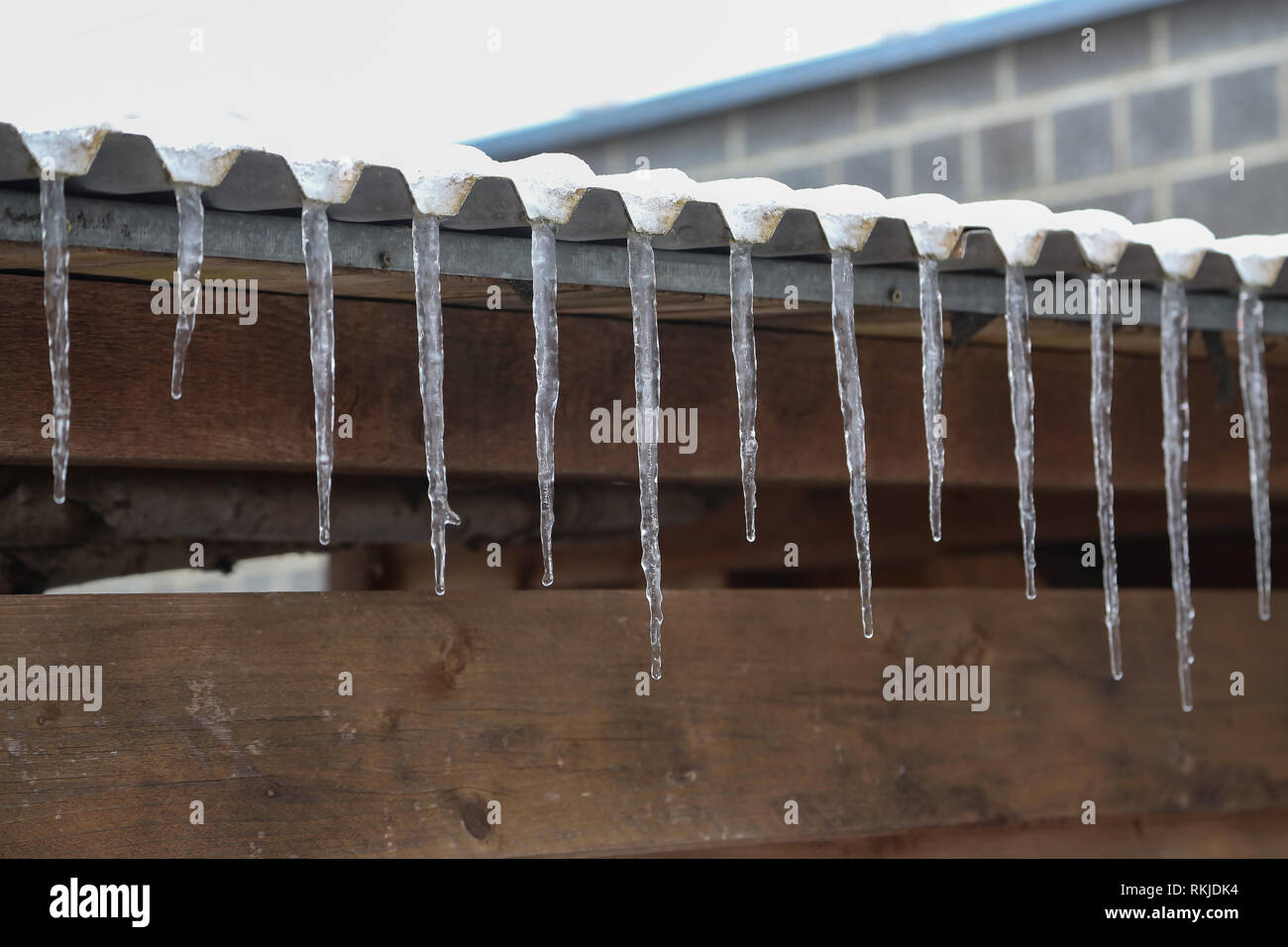 Tauwetter. Eiszapfen auf dem Dach. Eiszapfen, Tropfen ... Stockfoto