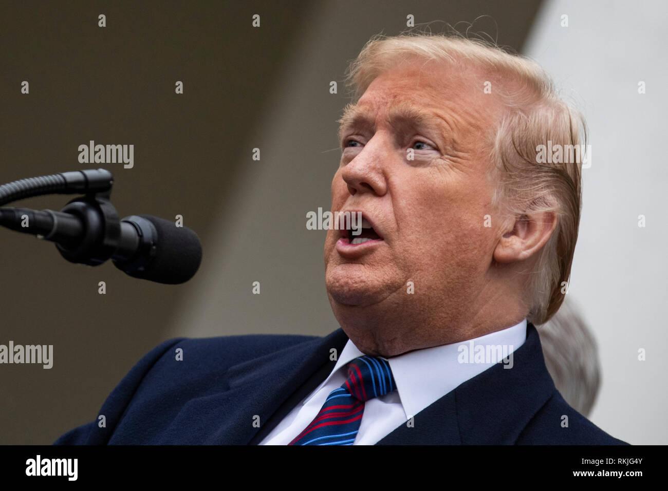 US-Präsident Donald Trump spricht mit Reportern im Rosengarten des Weißen Hauses am 4. Januar 2019. Stockfoto
