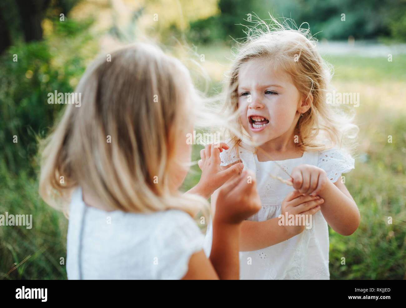 Zwei kleine böse Mädchen Freunde oder Schwester draußen im sonnigen Sommer Natur, Haare ziehen. Stockfoto