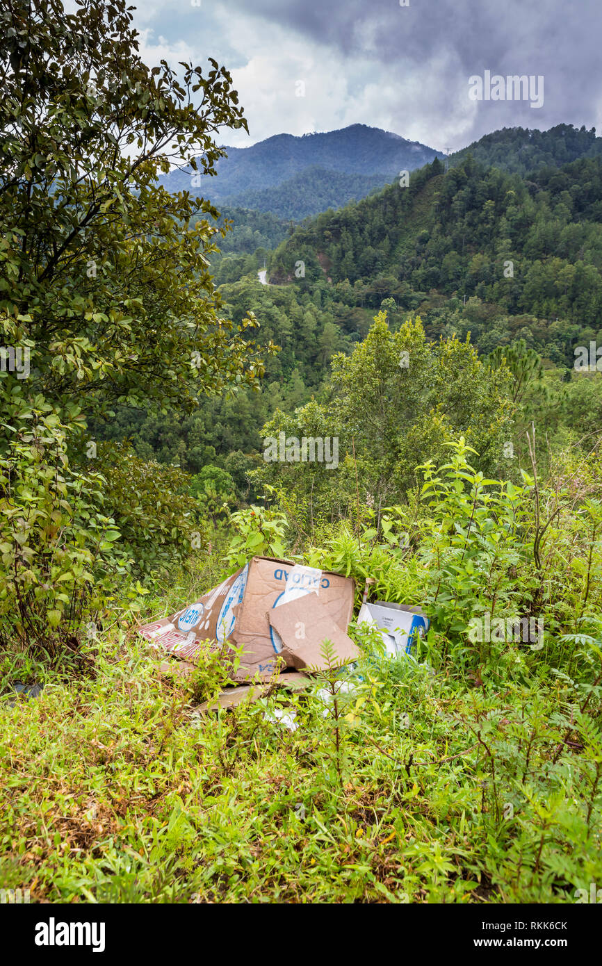 Karton gedumpten im Wald, Oaxaca, Mexiko, Nordamerika Stockfoto