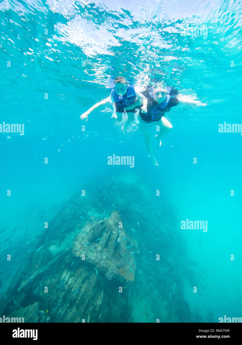 Ein glasbodenboot Fahrt führte zu Abenteuer mit schiffswracks und Schildkröten. Stockfoto