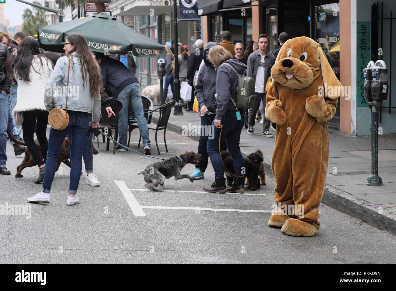 Straße ohne Autoverkehr, mit Person im Hund Anzug und Echten Hunde mit Besitzer im Hintergrund Stockfoto