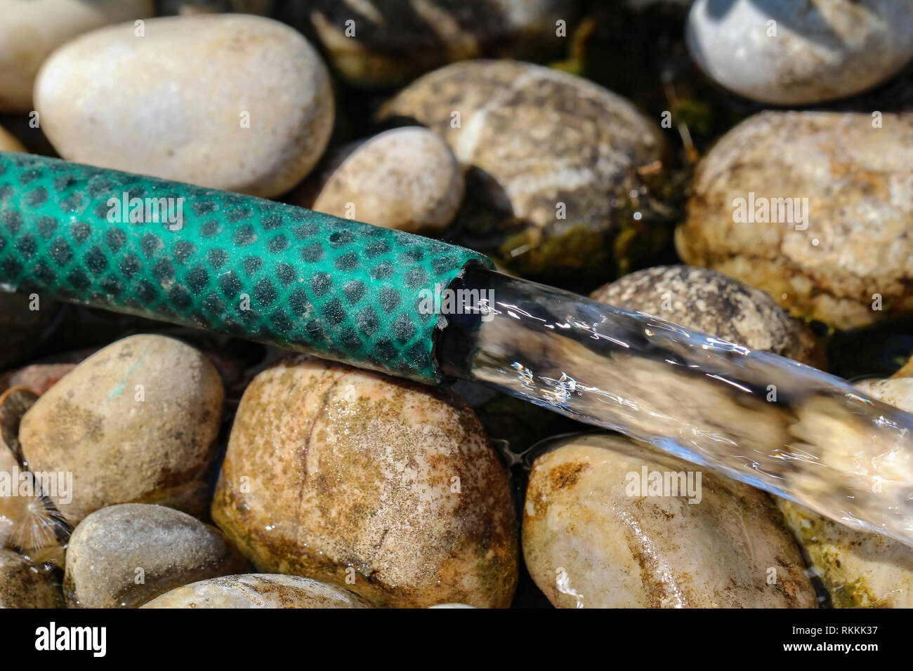 Von den Gummischlauch im Garten Wasser läuft Stockfoto