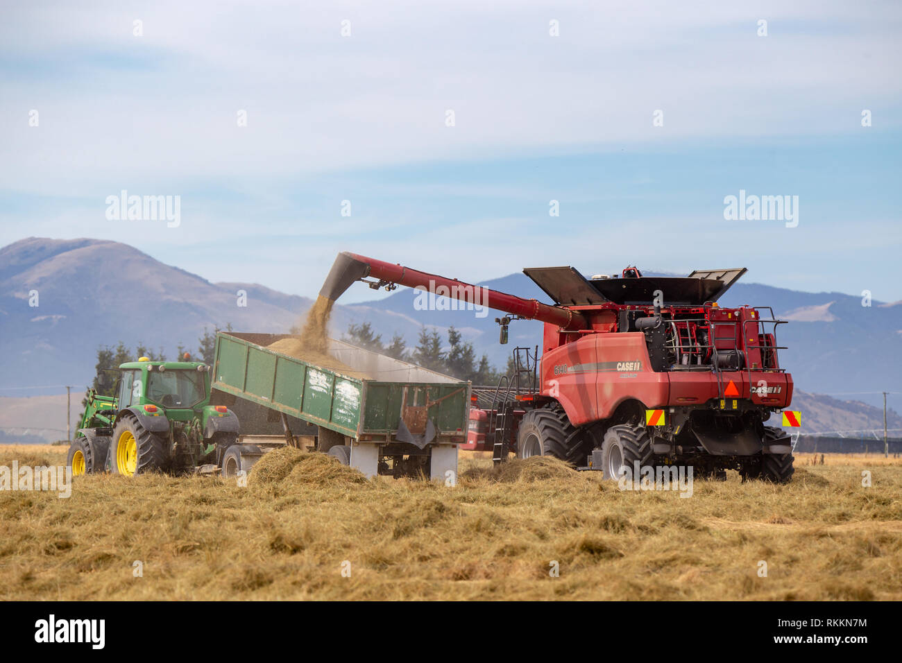 Annat, Canterbury, Neuseeland - 1. Februar 2019: EIN CASE Feldhäcksler entlädt Gras Samen in ein Fach von einem John Deere Traktor gezogenen Mähdrescher Stockfoto
