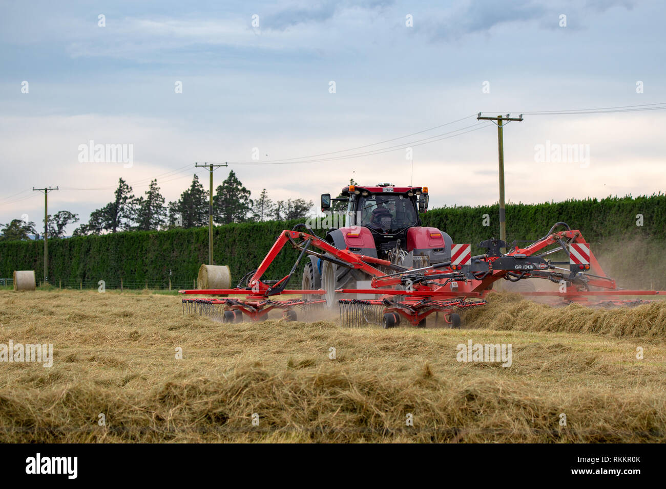 Annat, Canterbury, Neuseeland - 1. Februar 2019: Ein roter Traktor und Heuwender biegen Sie Heu in Zeilen bereit für die Ballenpresse Stockfoto