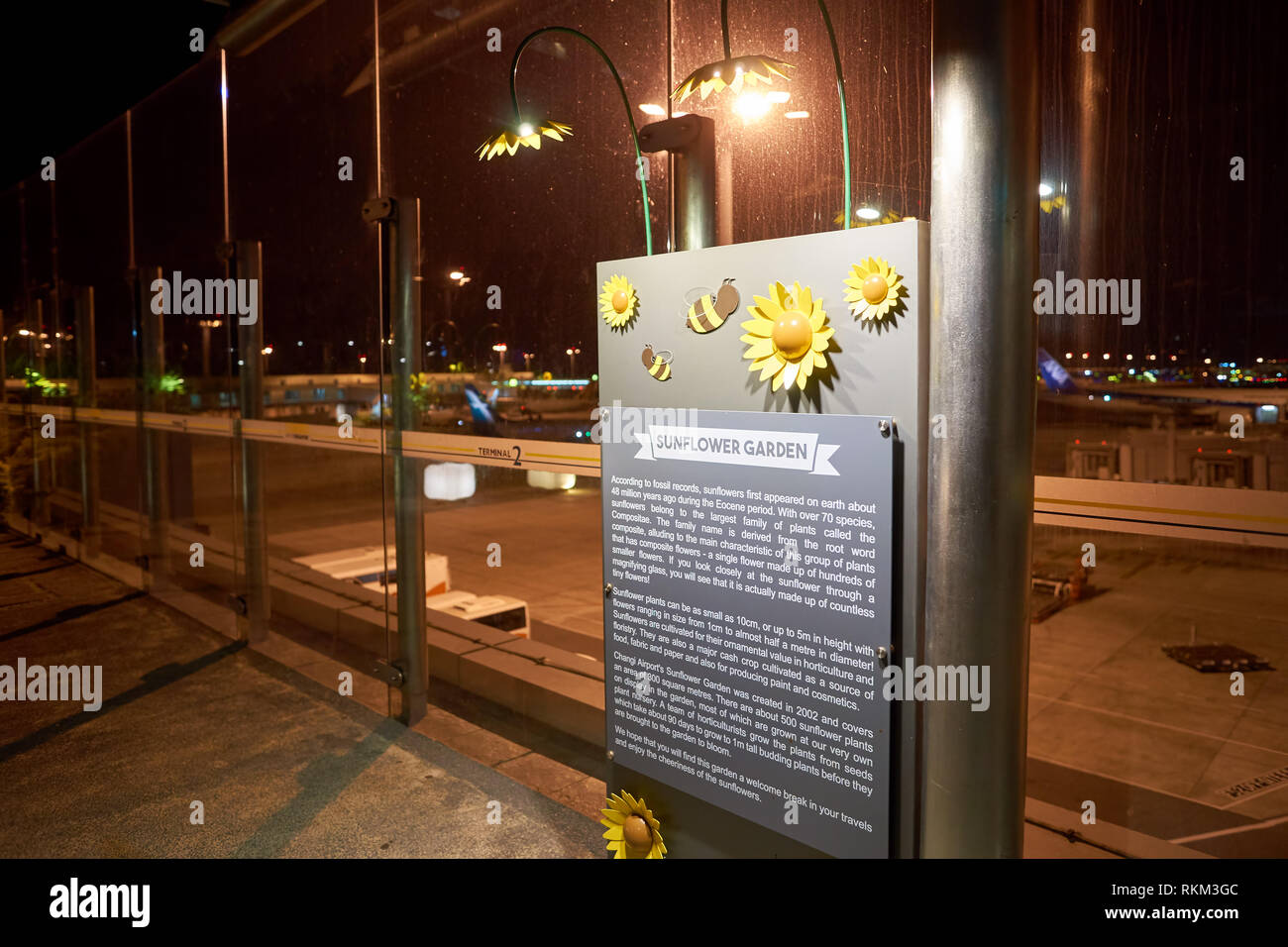 Singapur - ca. August 2016: Sonnenblume Garten am Flughafen Singapur Changi. Singapur Changi Airport ist der primäre zivilen Airport für Singapur, Stockfoto