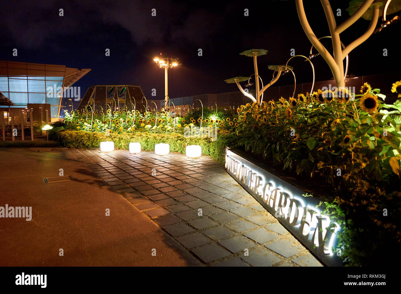 Singapur - ca. August 2016: Sonnenblume Garten am Flughafen Singapur Changi. Singapur Changi Airport ist der primäre zivilen Airport für Singapur, Stockfoto