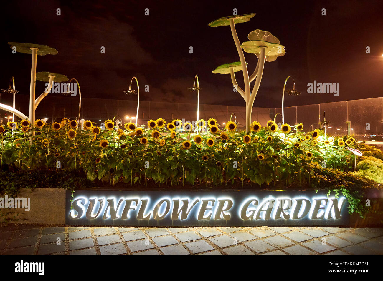 Singapur - ca. August 2016: Sonnenblume Garten am Flughafen Singapur Changi. Singapur Changi Airport ist der primäre zivilen Airport für Singapur, Stockfoto