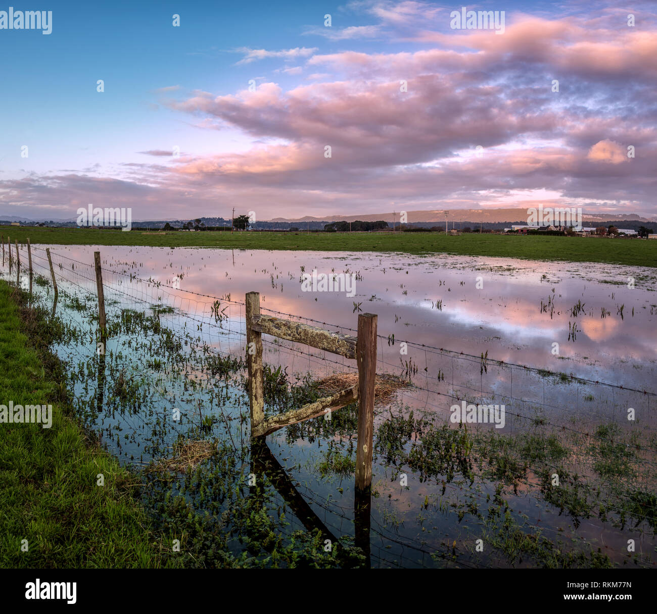 Ein stacheldrahtzaun Kreuze einer überschwemmten Weiden bei Sonnenuntergang. , Nord Kalifornien, USA Stockfoto