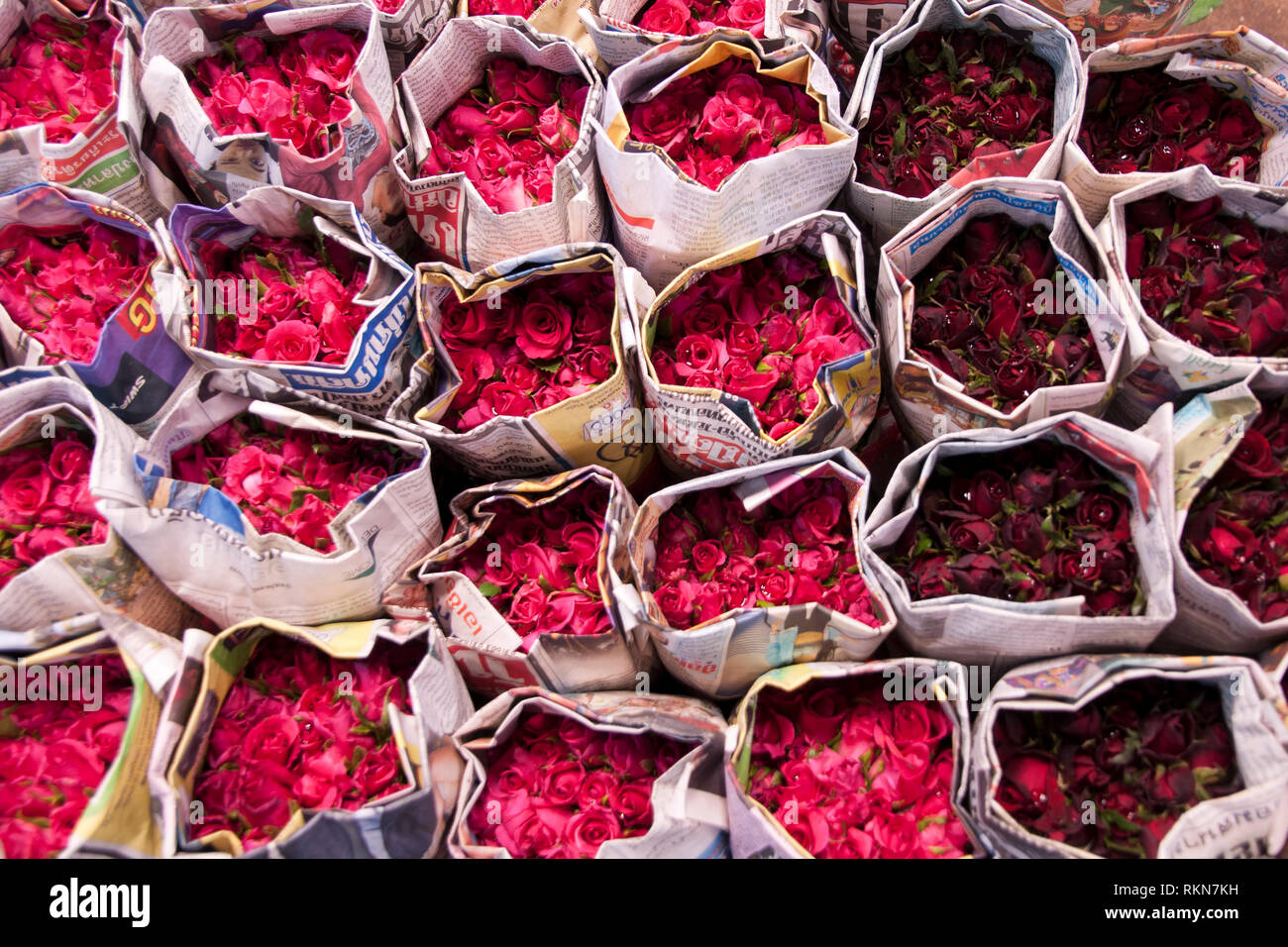 Bangkok Thailand, Trauben, rote Rosen, die in der Zeitung an der pak Khlong talat Blumenmarkt gewickelt Stockfoto