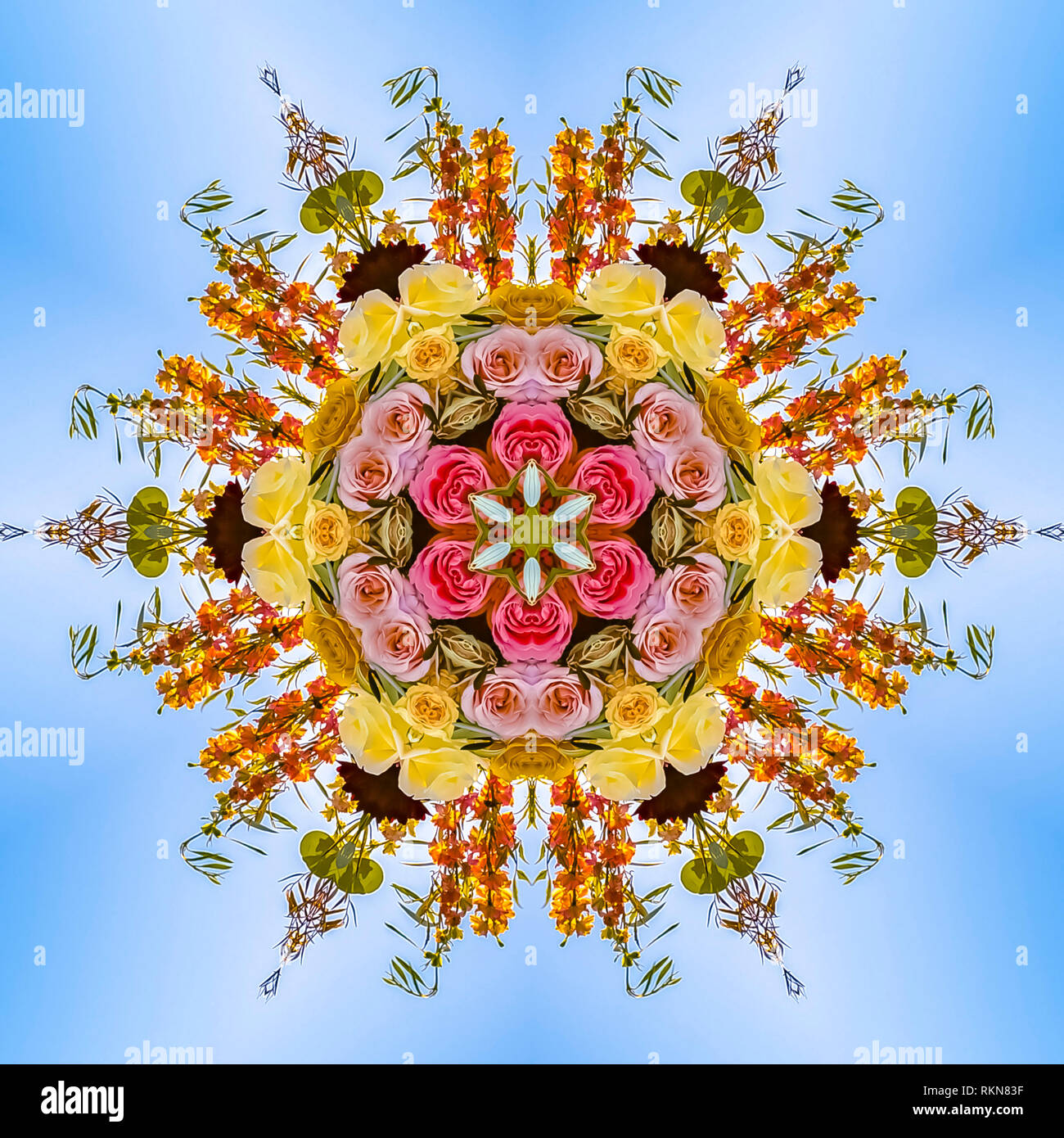 Radiale Reflexion Von Blumen In Einen Kreis Geometrische Kaleidoskop Muster Auf Der Symmetrieachse Gespiegelt Reflexion Bunte Formen Als Wallpa Stockfotografie Alamy