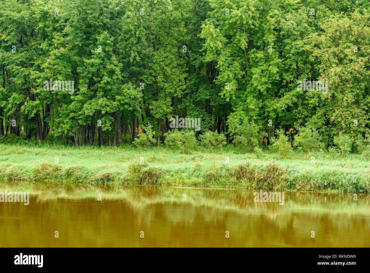 Mississippi River mit Esche Reflexionen, Jacobson, Minnesota, USA. Stockfoto